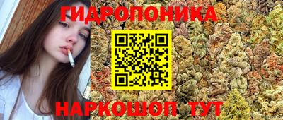 молекула духа Будённовск