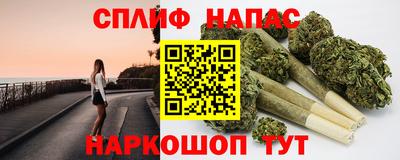 молекула духа Будённовск