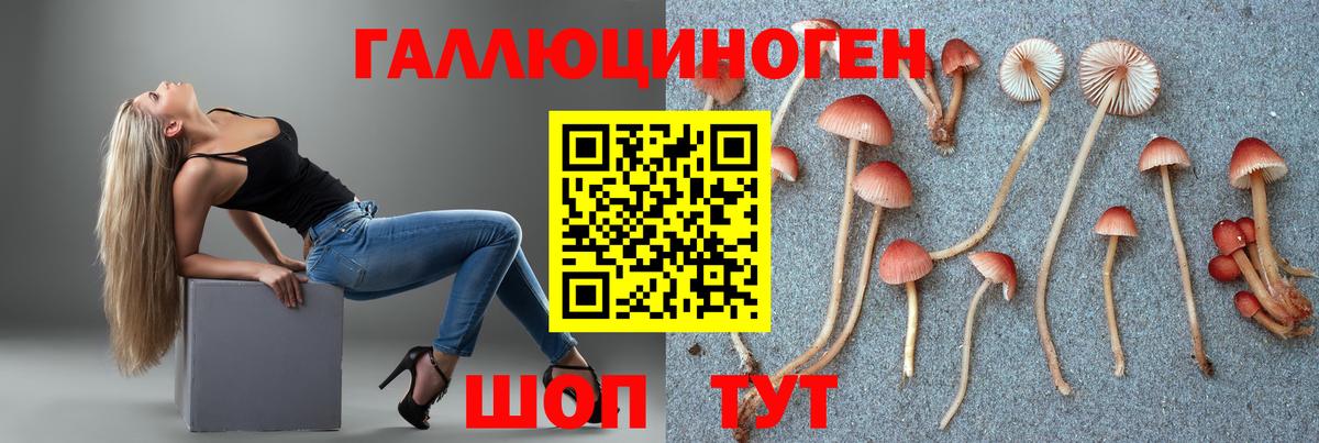 Галлюциногенные грибы GOLDEN TEACHER  Вход с VPN  Лесозаводск 